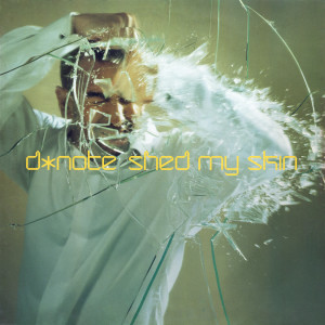 收聽D*note的Shed My Skin (Dimitri Vegas & Like Mike feat. Yves V Radio Edit)歌詞歌曲