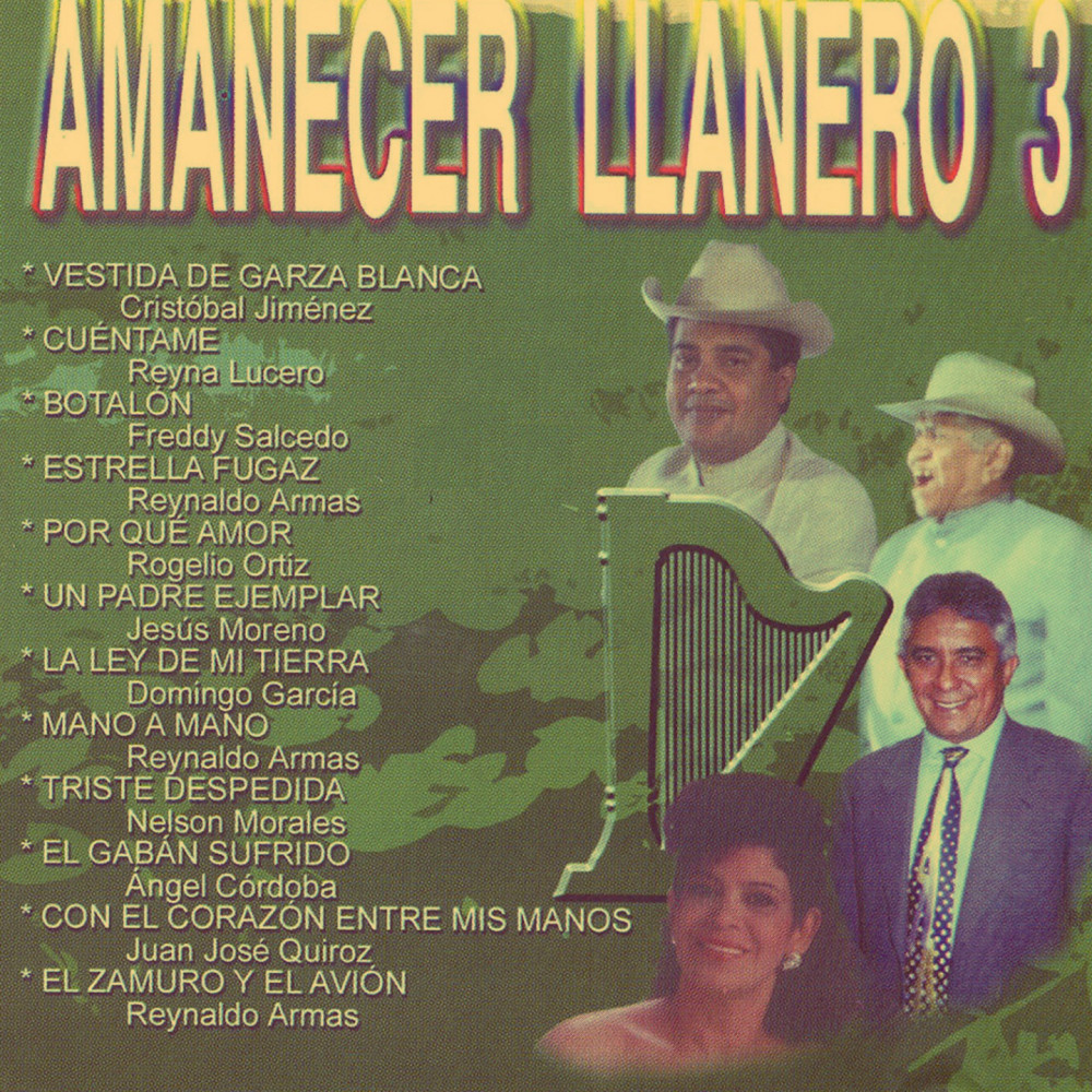 El Zamuro y el Avión