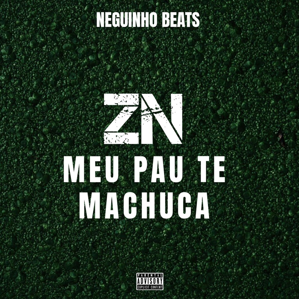 ZN meu pau te machuca (Explicit)