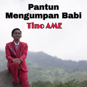 Dengarkan Pantun Mengumpan Babi lagu dari Tino Ame dengan lirik