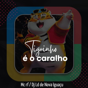 收听DJ LD DE NOVA IGUAÇU的Tigrinho é o caralho (Explicit)歌词歌曲