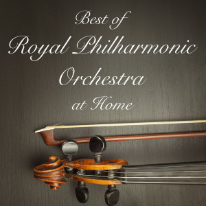 收听Royal Philharmonic Orchestra的The Chain歌词歌曲
