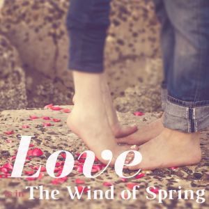 Listen to My Love Is Real song with lyrics from Soul Trend