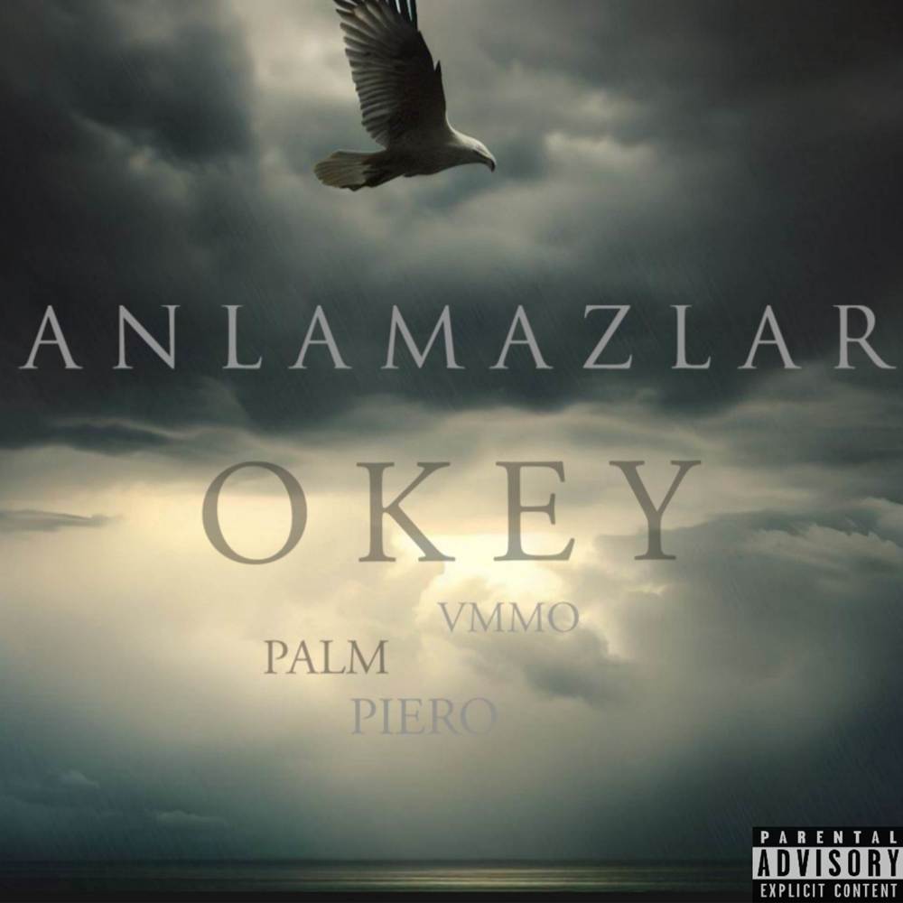Anlamazlar