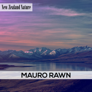收聽Mauro Rawn的Wellington歌詞歌曲