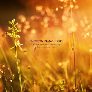 收聽서지연的Flower blooming in the light歌詞歌曲