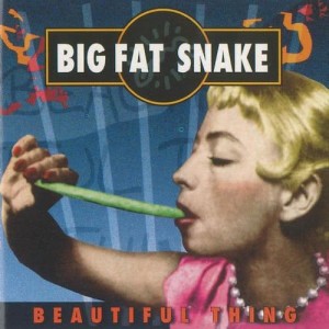 ดาวน์โหลดและฟังเพลง Hit Me Hit Me พร้อมเนื้อเพลงจาก Big Fat Snake