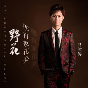 收听马健涛的野花哪有家花美 (完整版)歌词歌曲