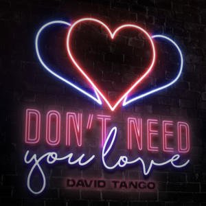 收聽David Tango的Don't Need You Love歌詞歌曲