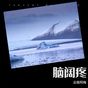 Listen to 脑阔疼 (其他) song with lyrics from 云南阿梅