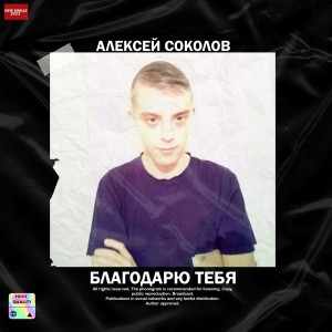 收聽Алексей Соколов的Благодарю тебя歌詞歌曲