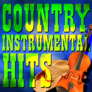 ดาวน์โหลดและฟังเพลง All Your Life (Instrumental Tribute to the Band Perry) พร้อมเนื้อเพลงจาก #1 Country Instrumental Hits