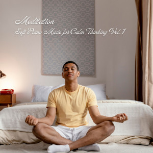 อัลบัม Meditation: Soft Piano Music for Calm Thinking Vol. 1 ศิลปิน Binaural Beats