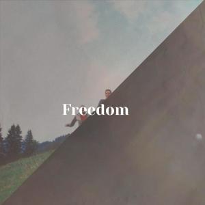 Listen to Freedom song with lyrics from Alfy Sels