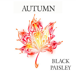 ดาวน์โหลดและฟังเพลง Autumn พร้อมเนื้อเพลงจาก Black Paisley