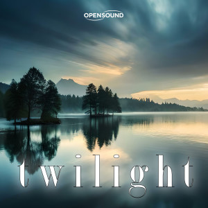 Album Twilight (Music for Movie) from Silvio Piersanti