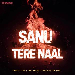 Ankit Prajapati Palla的專輯Sanu Tere Naal