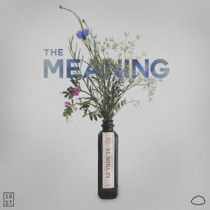 Listen to The Meaning song with lyrics from NTHN