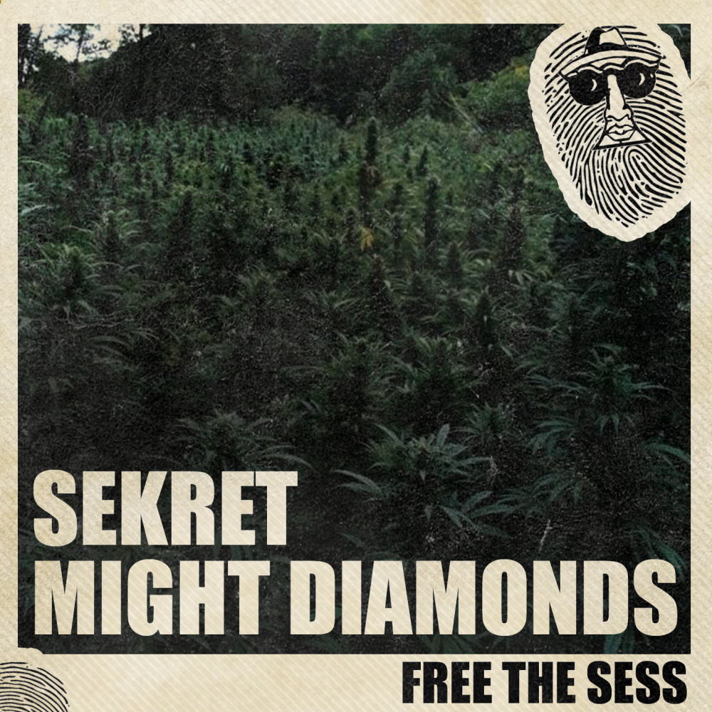 Free the Sess