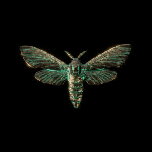 Imminence的專輯Death by a Thousand Cuts (Feat. Lucas Woodland)