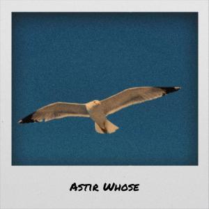Various的专辑Astir Whose