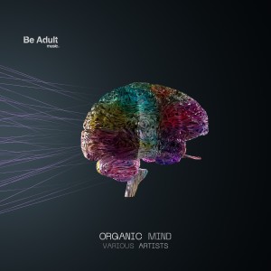 Various的专辑Organic Mind