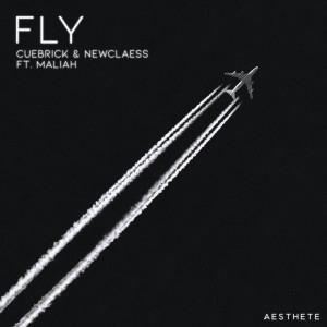 newclaess的專輯Fly