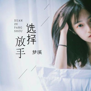 Album 选择放手 from 梦溪
