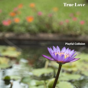 ดาวน์โหลดและฟังเพลง A Personal Story พร้อมเนื้อเพลงจาก Playful Collision