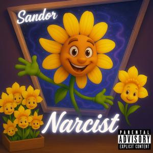 收聽Sandor的Narcist (Hoe Heb Ik Dit Toch Gemist?) (Explicit)歌詞歌曲