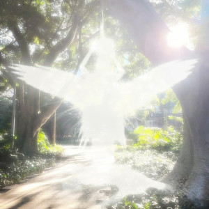 Listen to is it the sun? song with lyrics from 涙quincke