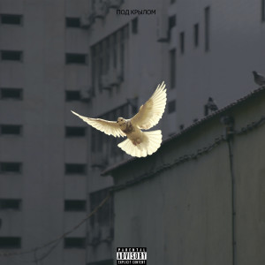 Listen to Под крылом (Explicit) song with lyrics from Flyme
