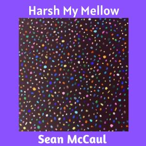 收聽Sean McCaul的Harsh My Mellow歌詞歌曲