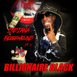 Listen to Indiana BloodHound , Pt. 3 (Explicit) song with lyrics from Billionaire Black