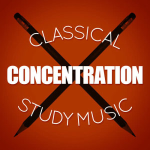 ดาวน์โหลดและฟังเพลง The Carnival of the Animals: XIII. The Swan พร้อมเนื้อเพลงจาก Up North Session Orchestra