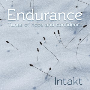 Intakt的专辑Endurance