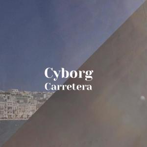 Various的专辑Cyborg Carretera
