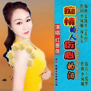 Listen to 痴情的人伤心的泪 (完整版) song with lyrics from 红蔷薇