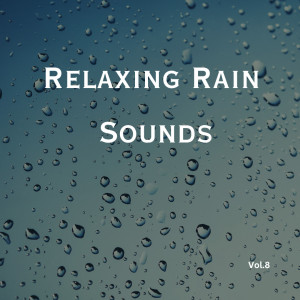 Relaxing Rain Sounds (Vol.8)