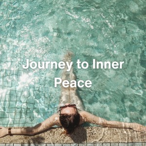 Deep Sleep Music Delta Binaural 432 Hz的專輯Journey to Inner Peace