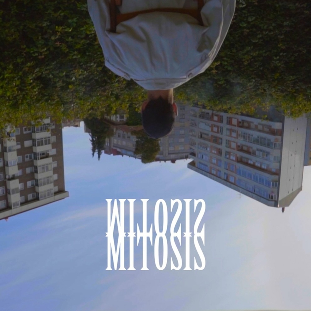 Mitosis (Explicit)