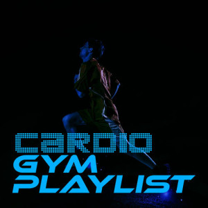 ดาวน์โหลดและฟังเพลง Get Low (101 BPM) พร้อมเนื้อเพลงจาก Gym Playlists