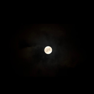 Album Brand New Day (Darkness Dynamite) (Explicit) from SHAWN E