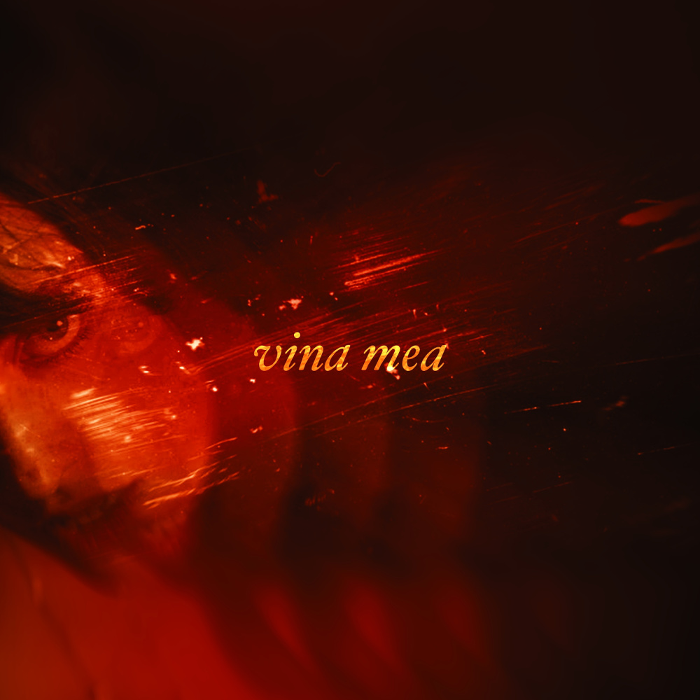 Vina Mea