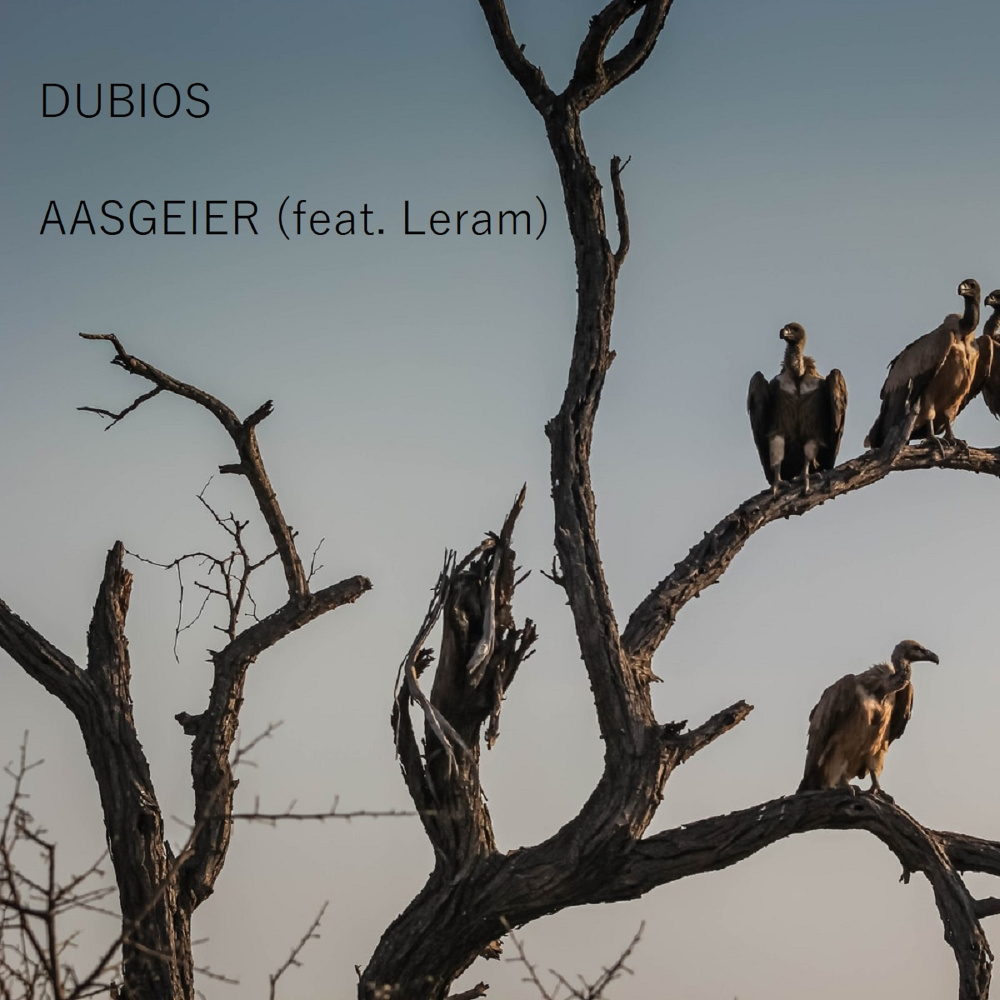 Aasgeier (Explicit)