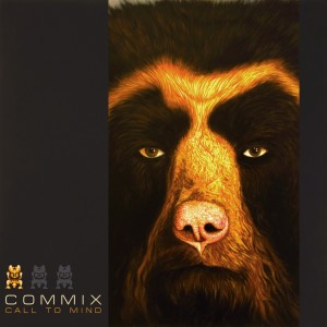 ดาวน์โหลดและฟังเพลง Strictly พร้อมเนื้อเพลงจาก Commix