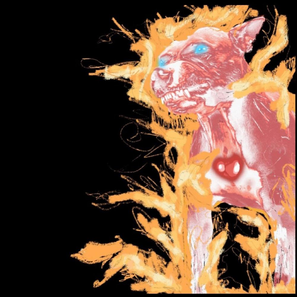 27 Tank DAWGS (Explicit)