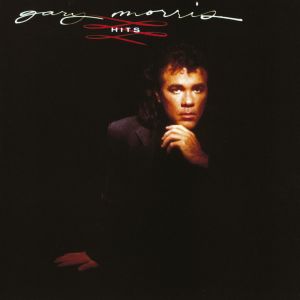 收聽Gary Morris的Finshing Touches (Album Version)歌詞歌曲