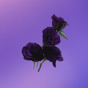 Fantasia Indaco dari Blake Tree