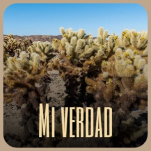 Album Mi Verdad from Various